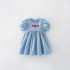 Girls' summer 2025 new European and American style short-sleeved round-neck princess dresses for small and medium-sized children, children's dresses