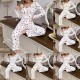 Cross-border best-selling European-style autumn-winter home wear for women, featuring sexy and casual fashion long-sleeved pants and pajama sets. Women's pajamas for summer with European-style letter patterns, short-sleeved T-shirts with bow ties and shor